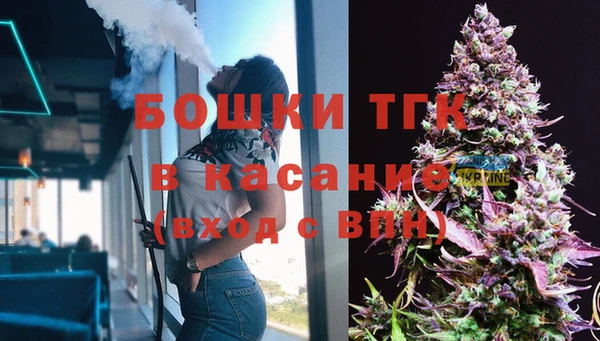 ПСИЛОЦИБИНОВЫЕ ГРИБЫ Арсеньев