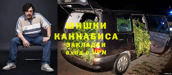 индика Россошь